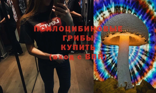 ECSTASY Алзамай