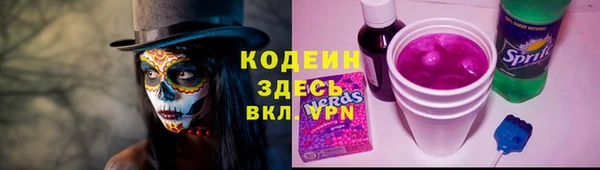 ECSTASY Алзамай